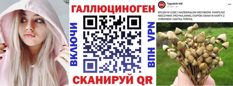 Галлюциногенные грибы прущие грибы  Купить закладки  Солнечногорск 