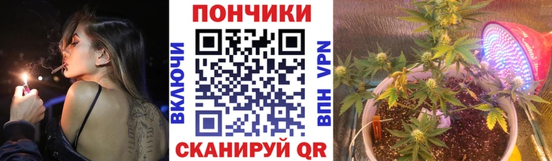 Купить  Солнечногорск  Шишки марихуана LSD WEED 
